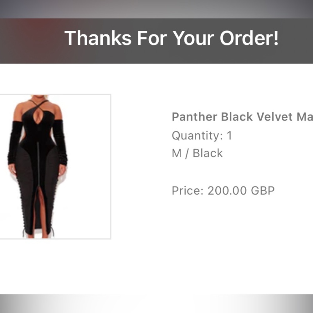 COPY - BBX Brand Panther Velvet Maxi. Worn Once, size Medium